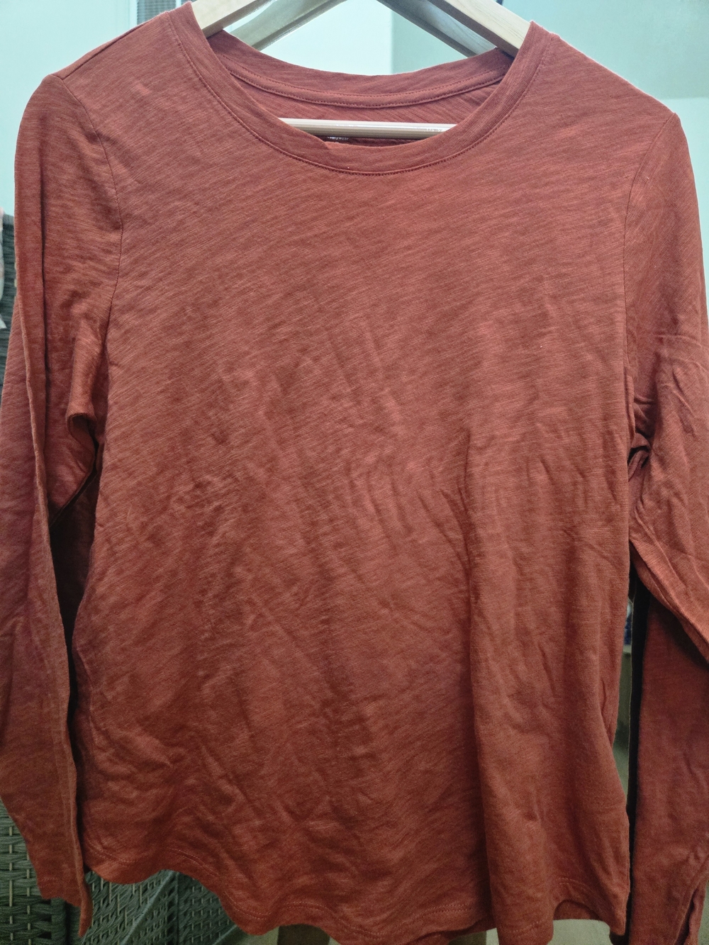NWT Old Navy Mesa Rock Burnt Orange Long Sleeve Crewneck Top M